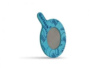 Garlock strainer gaskets